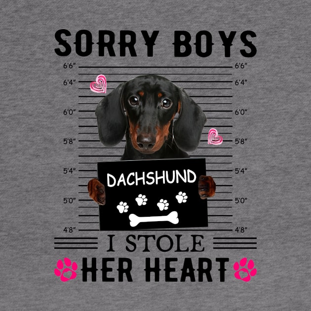 Black Dachshund Sorry Boys I Stole Her Heart Valentine's Day by PlumleelaurineArt